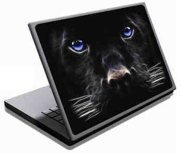 LAMTECH 9.2'-12.4' LAPTOP SKIN DOG BLUE EYES