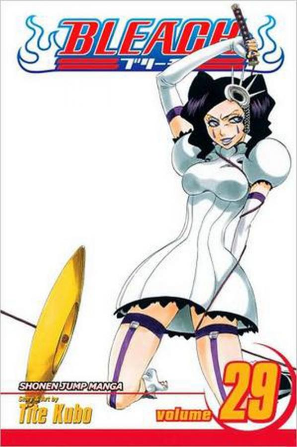 Viz Bleach Vol. 29 Paperback Manga