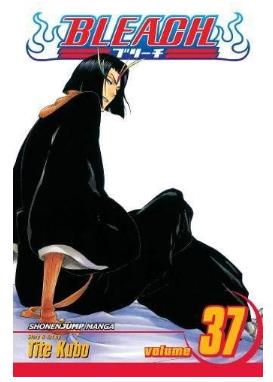 Viz Bleach Vol. 37 Paperback Manga