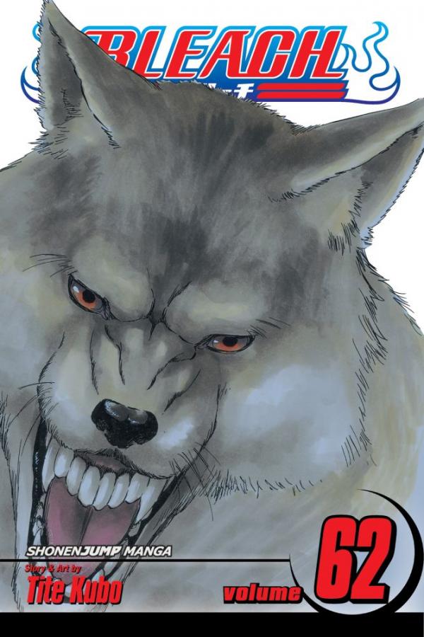 Viz Bleach Vol. 62 Paperback Manga
