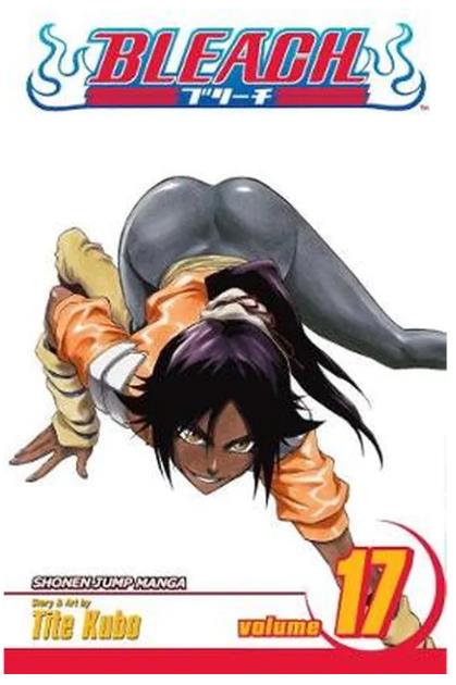 Viz Bleach Vol. 17 Trade Paperback Manga