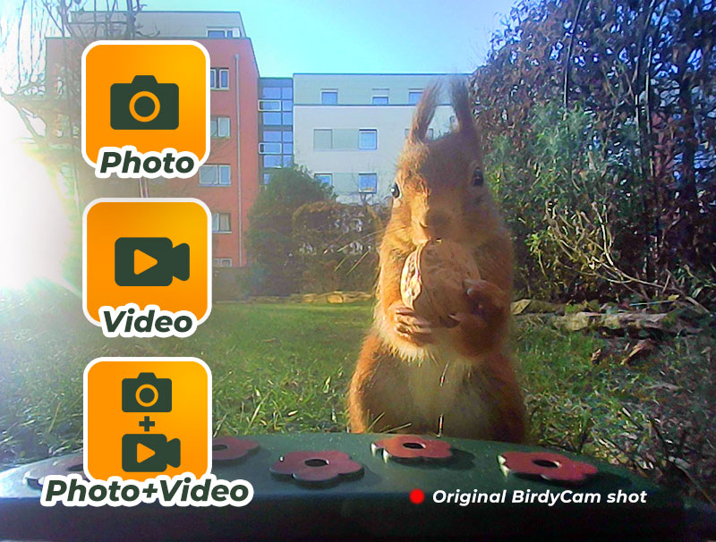 EASYPIX BIRDYCAM VIDEO/PHOTO BOX AND FEEDING STATION 12MP