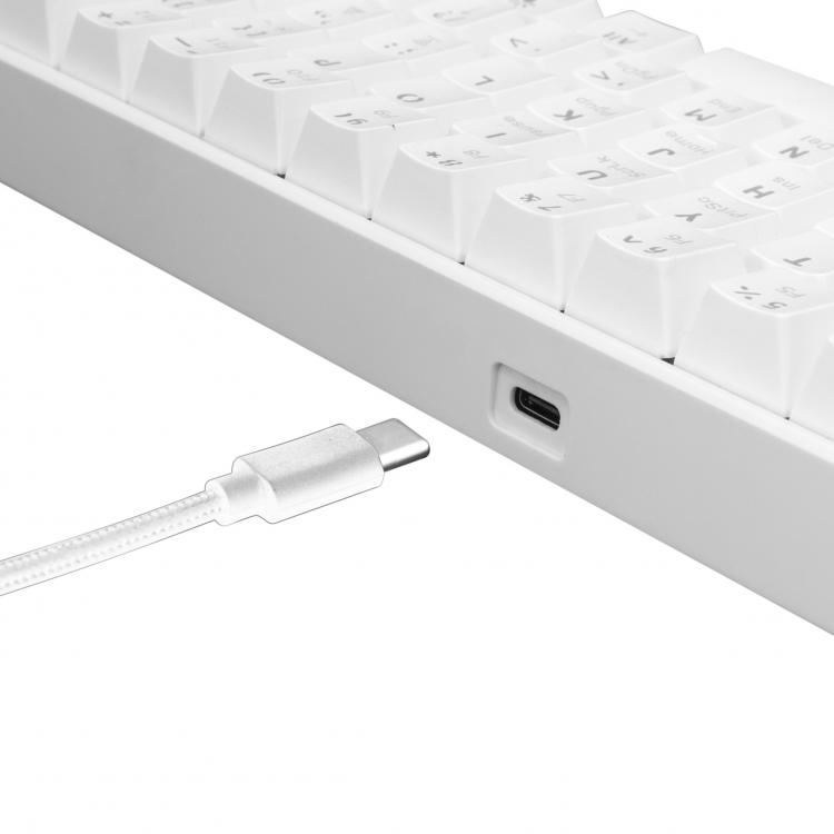 WHITE SHARK MECHANICAL KEYBOARD RED SWITCH GK-004211 WHITE