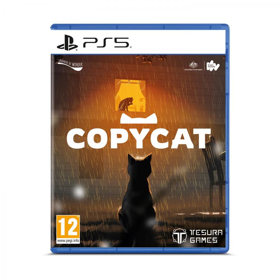 PS5 Copycat