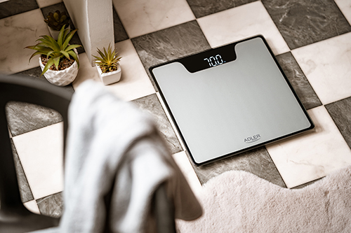 ADLER BATHROOM SCALE WITH LED DISPLAY SILVER