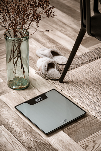 ADLER BATHROOM SCALE WITH LED DISPLAY SILVER