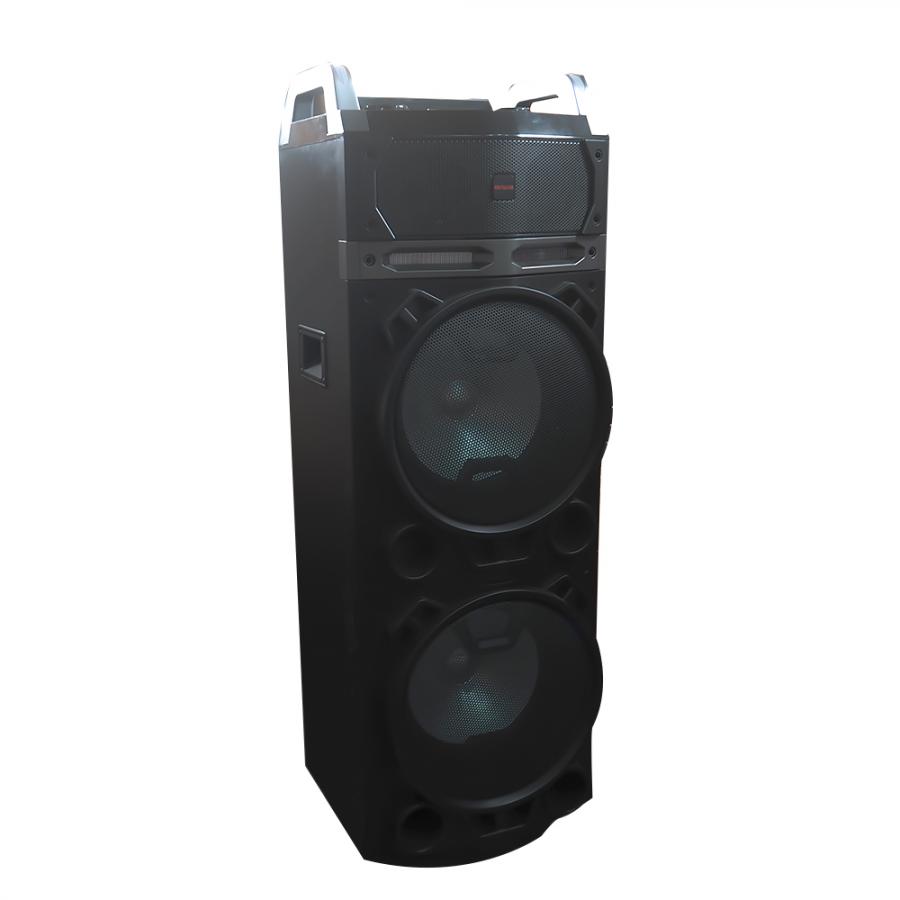 AIWA TROLLEY SPEAKER 'EARTHQUAKE' RMS100W