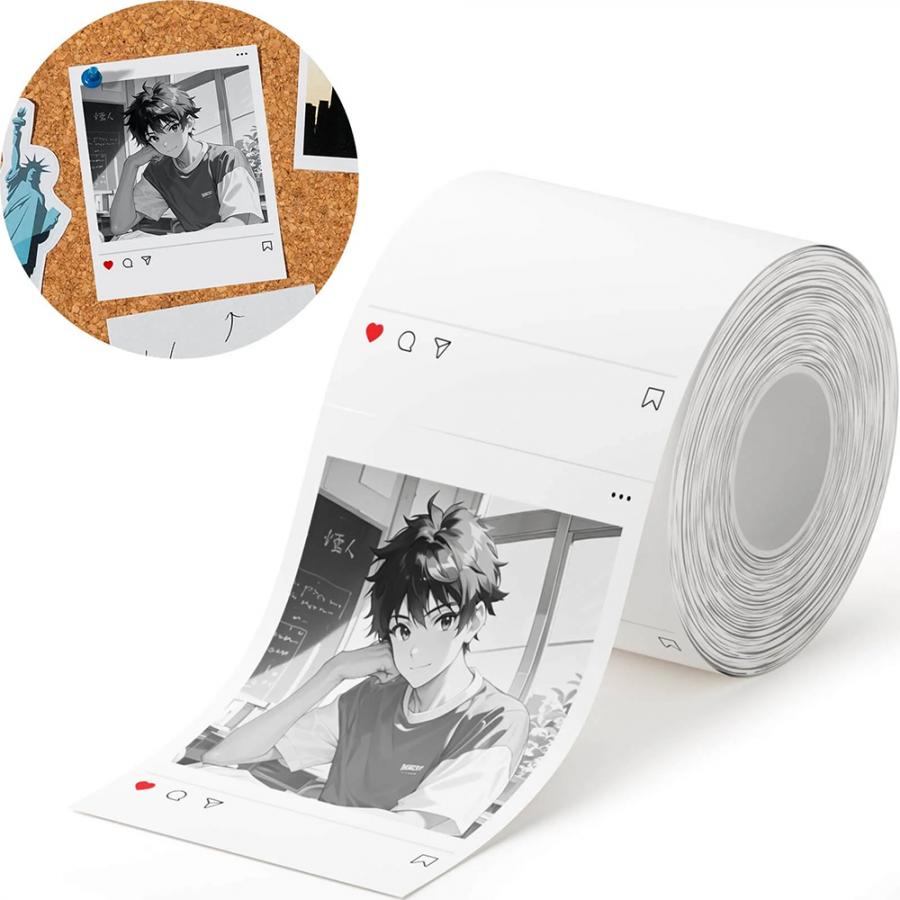 NIIMBOT THERMAL LABEL T54*67-120SNS COLORED WHITE