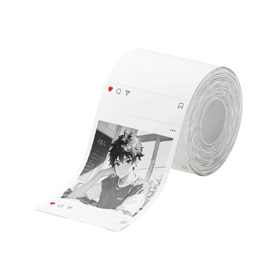 NIIMBOT THERMAL LABEL T54*67-120SNS COLORED WHITE