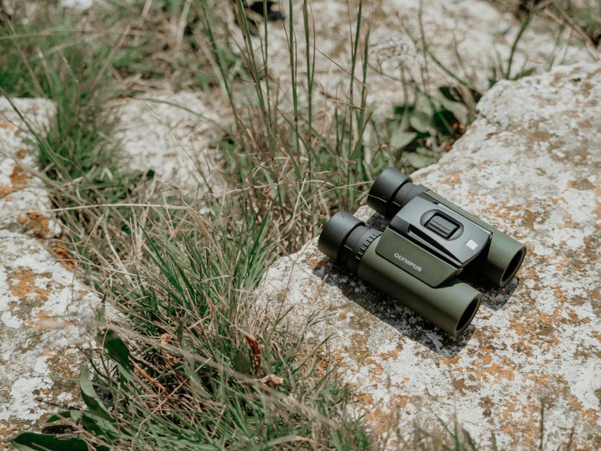Olympus 8X25 WP II GREEN Binoculars