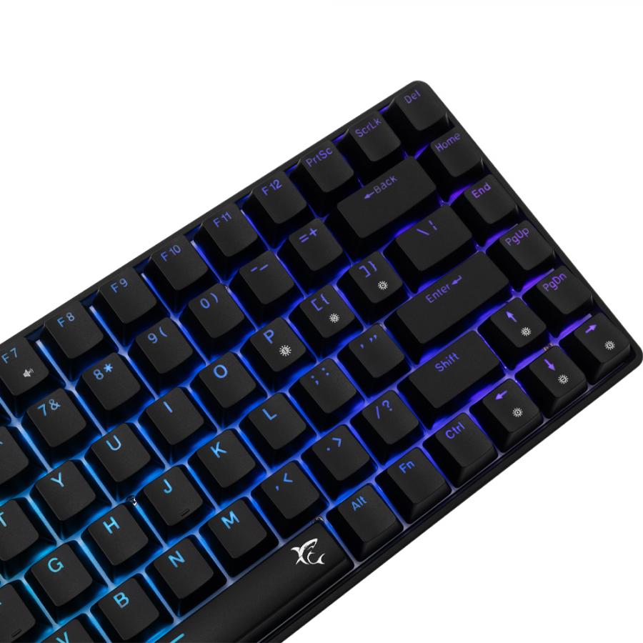 WHITE SHARK MECH KEYBOARD GK-005121 HAMACHI RGB US BLUE SW.
