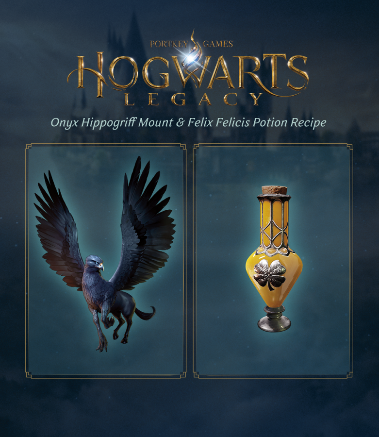 Hogwarts Legacy  Collector's  Edition  PS5 NEW