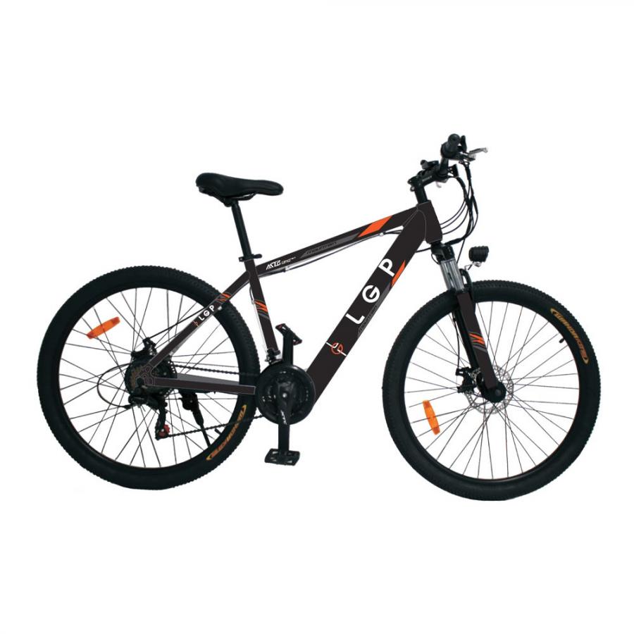 LGP MOUNTAIN E-BIKE 36V 250W 'REBEL'