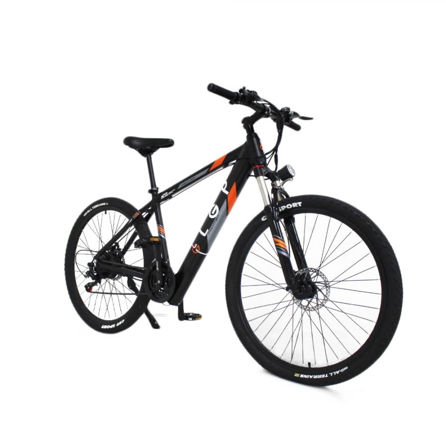 LGP MOUNTAIN E-BIKE 36V 250W 'REBEL'