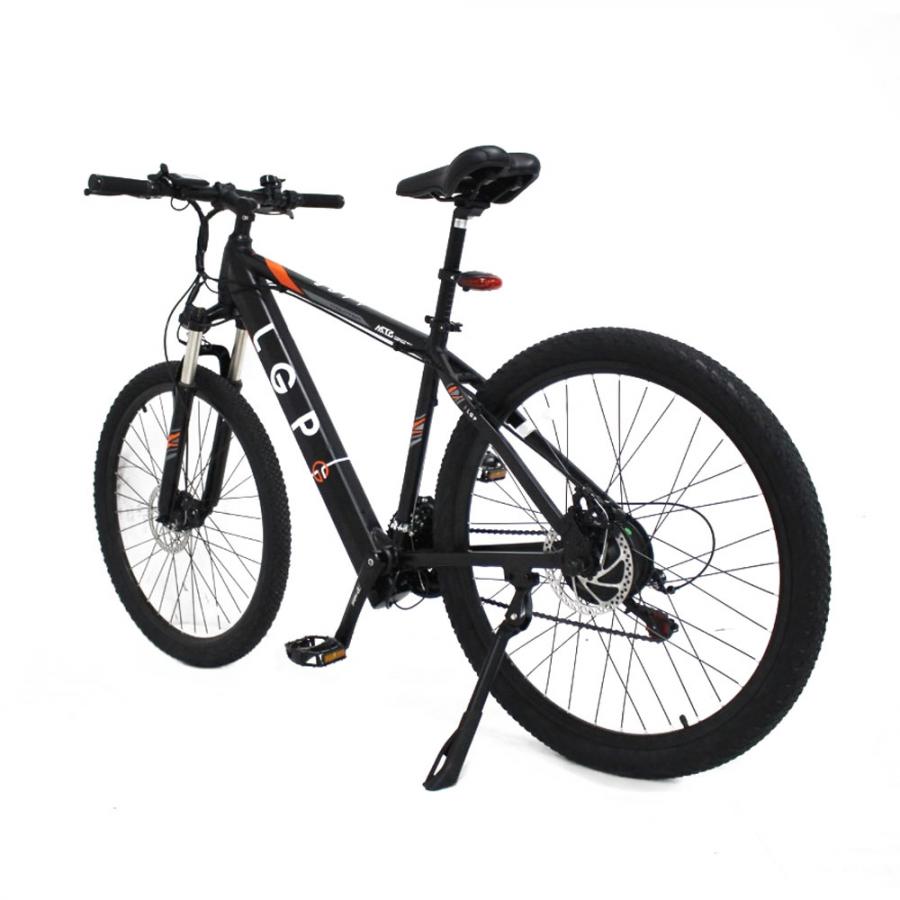 LGP MOUNTAIN E-BIKE 36V 250W 'REBEL'