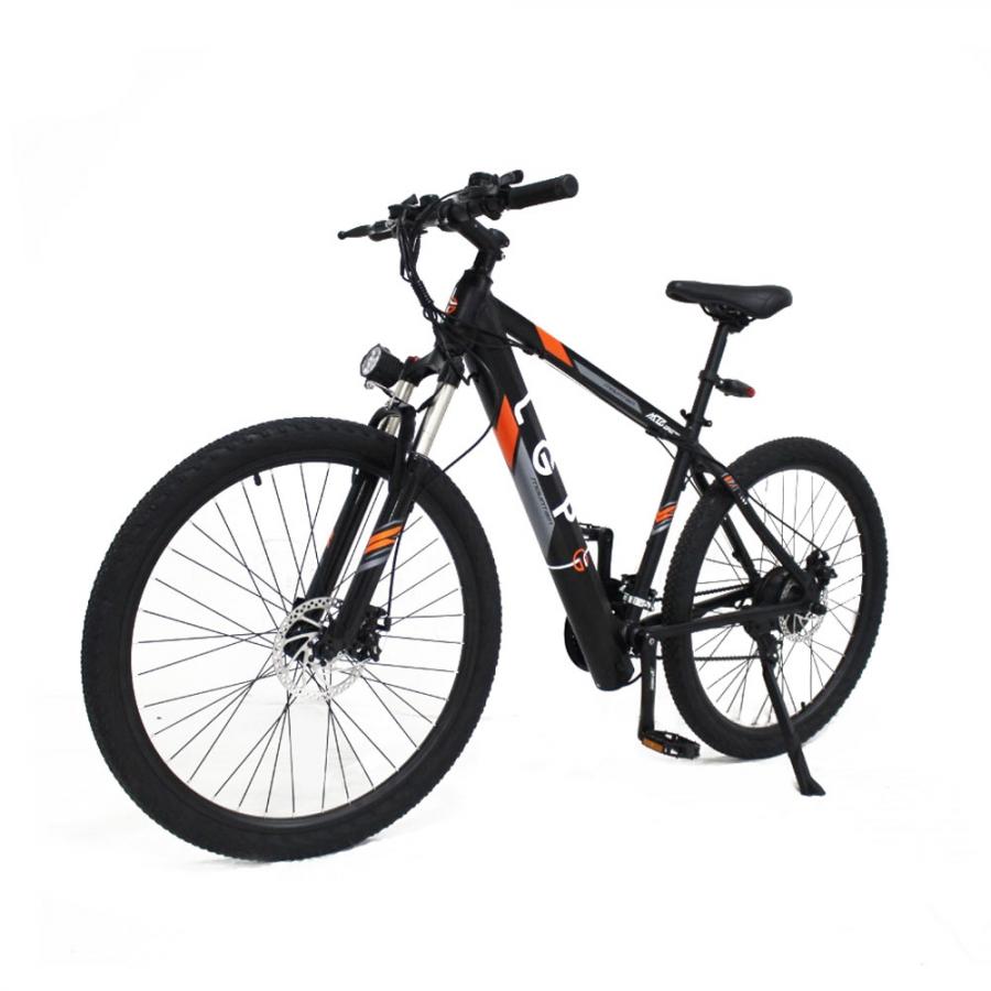 LGP MOUNTAIN E-BIKE 36V 250W 'REBEL'