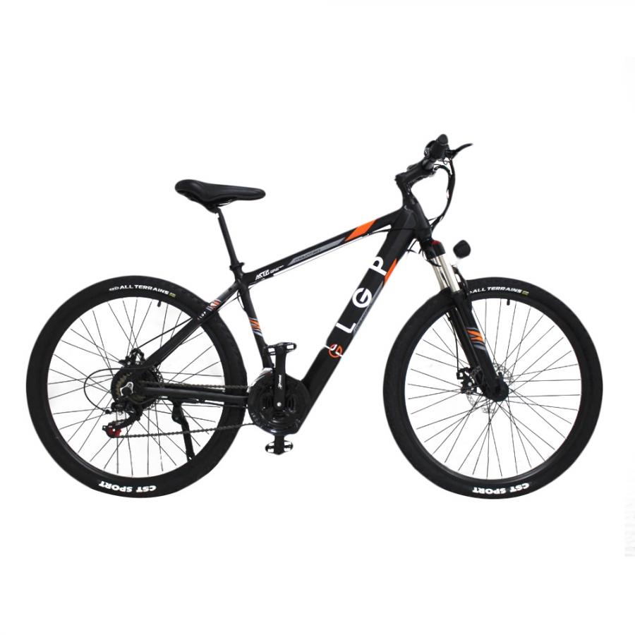 LGP MOUNTAIN E-BIKE 36V 250W 'REBEL'