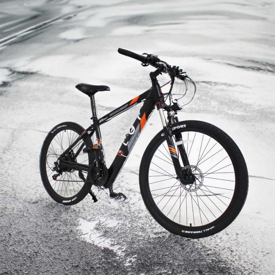 LGP MOUNTAIN E-BIKE 36V 250W 'REBEL'