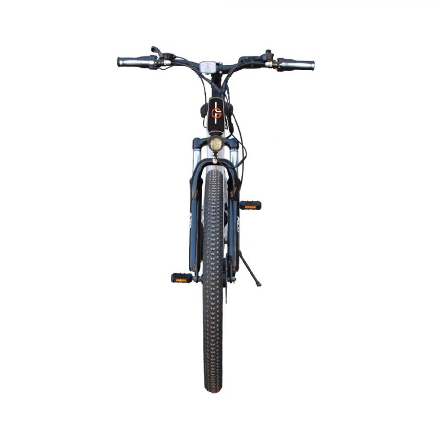 LGP MOUNTAIN E-BIKE 36V 250W 'REBEL'