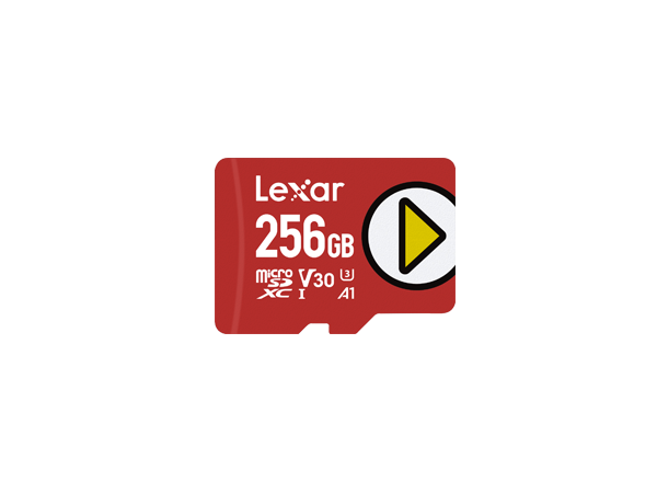256GB Lexar  PLAY microSDX  UHS-I cards, up to 150MB/s read ( Nintendo Switch Compatible )