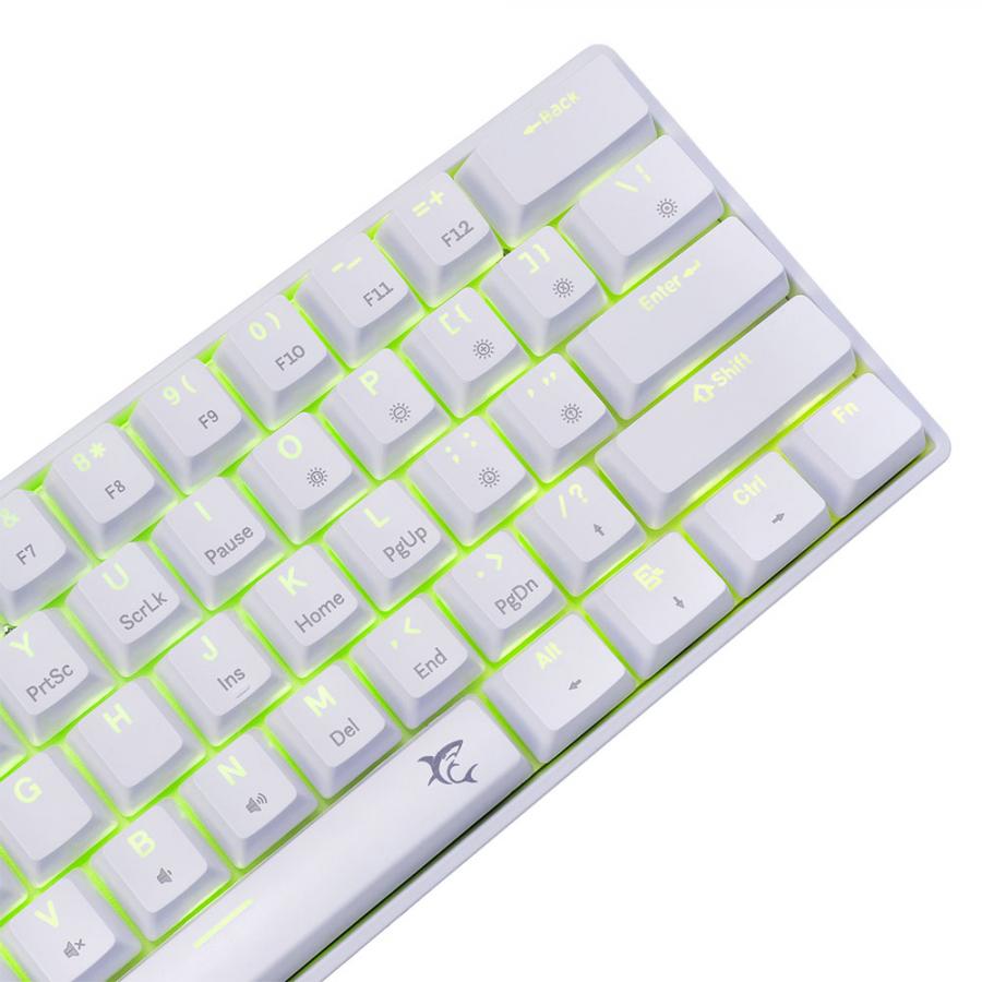 WHITE SHARK MECHANICAL KEYBOARD BLUE SWITCH GK-004221 WHITE