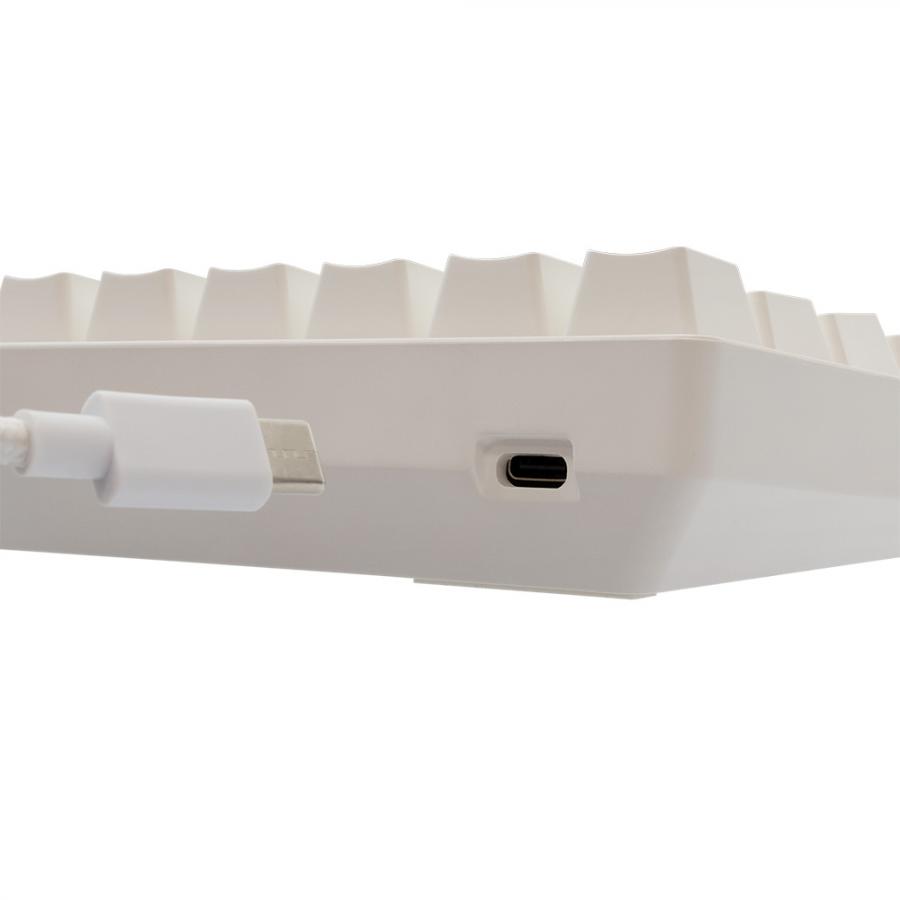 WHITE SHARK MECHANICAL KEYBOARD BLUE SWITCH GK-004221 WHITE