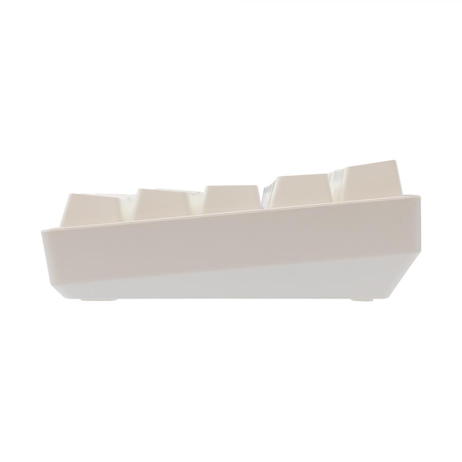 WHITE SHARK MECHANICAL KEYBOARD BLUE SWITCH GK-004221 WHITE