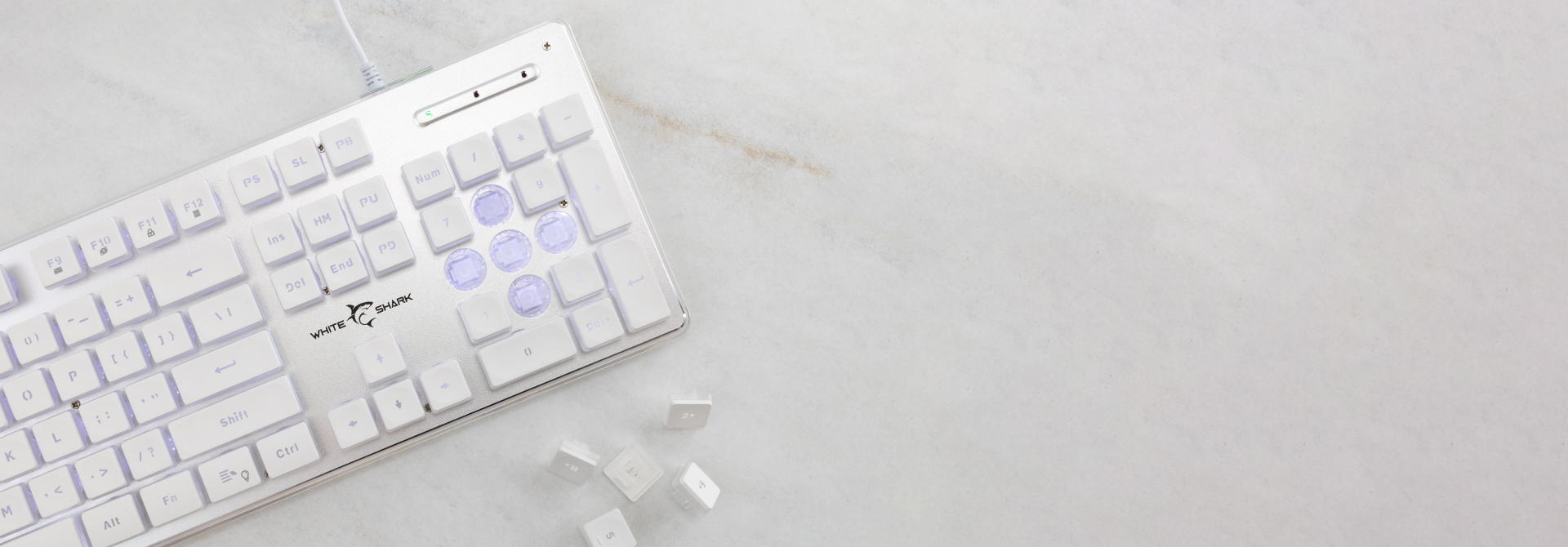 WHITE SHARK LED KEYBOARD GK-003241 TACHI US LAYOUT WHITE