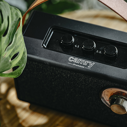 CAMRY BLUETOOTH SPEAKER WITH FM RADIO BLACK
