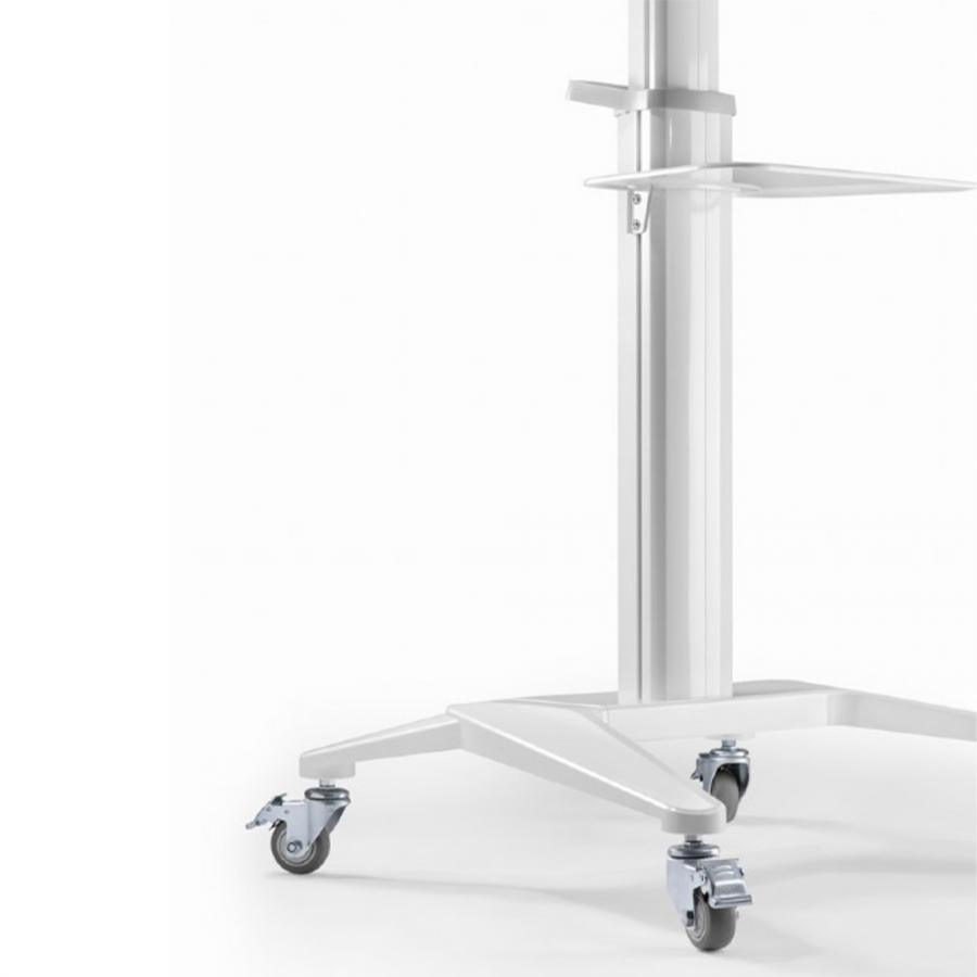 GEMBIRD TV WALL MOUNT (FIXED), 32”-55” (40 kg)